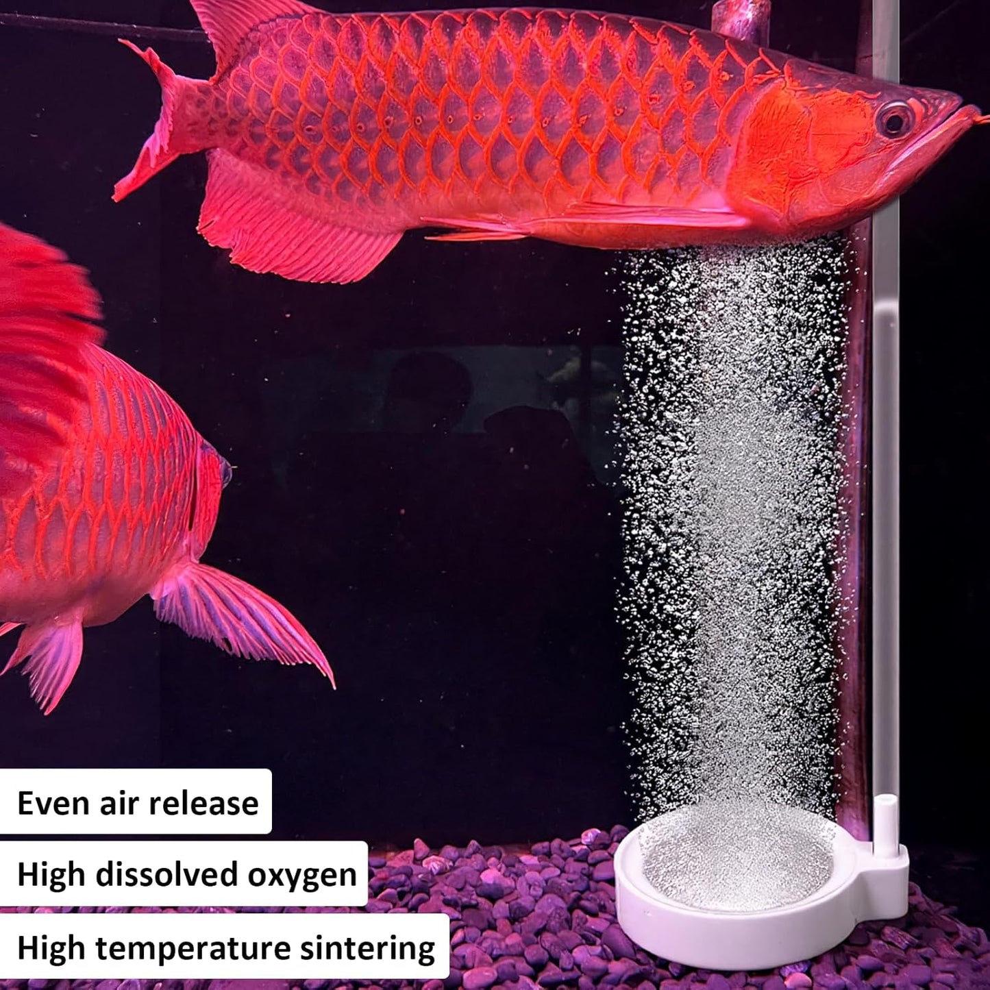 Fish Tank Nano Air Stone, 2 Inch Nano Fish Tank Bubbler, Ultra Quiet Airstone, High Dissolved Oxygen Diffuser, Aquarium Bubbler for 5 to 30 Gallon Tanks(No Air Pump and Air Tube)