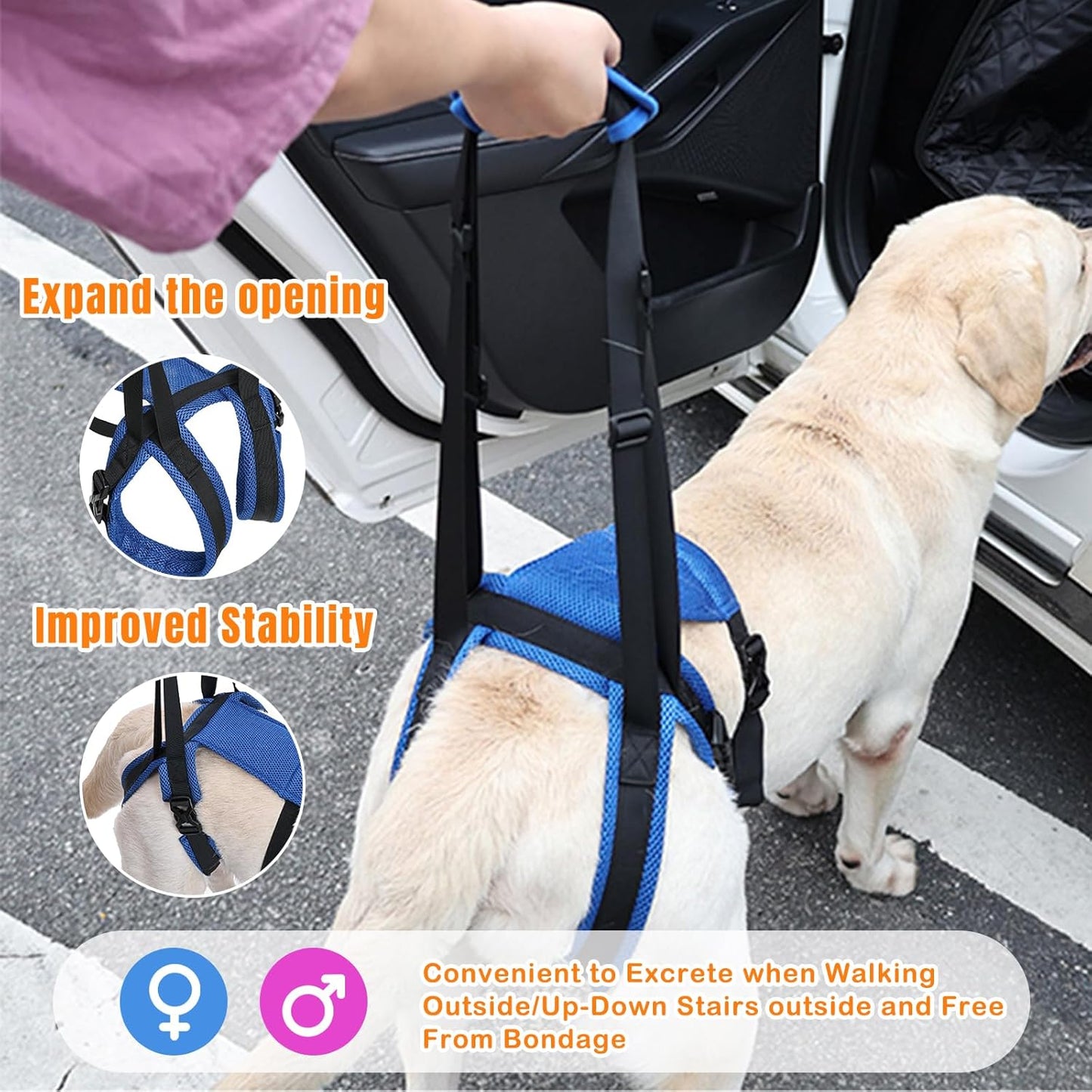 Dog Litf Harness, Dog Sling for Large Dogs Hind Leg Support, Hind Leg Support to Help Rehabilitate, for Elderly, Injured, Arthritic Dogs, L