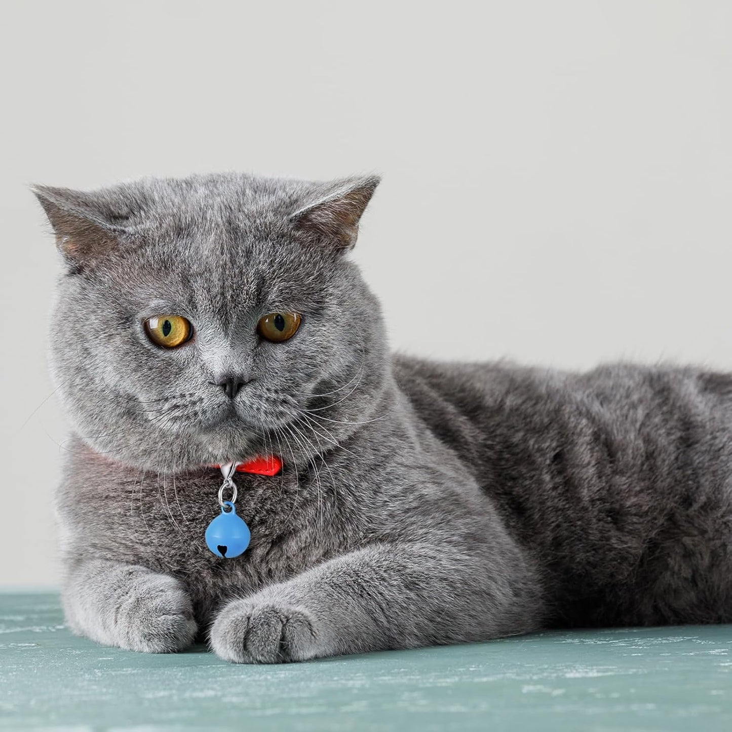 14 Pack Pet Bells for Dog Cat, Charms Colourful Pet Small Bells with Clasps, Round Bell with Loud Crisp Sound, Bell Pets Collar Accessories for Collars Stainless Steel Keychain for Pets