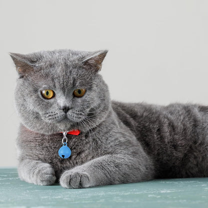 14 Pack Pet Bells for Dog Cat, Charms Colourful Pet Small Bells with Clasps, Round Bell with Loud Crisp Sound, Bell Pets Collar Accessories for Collars Stainless Steel Keychain for Pets