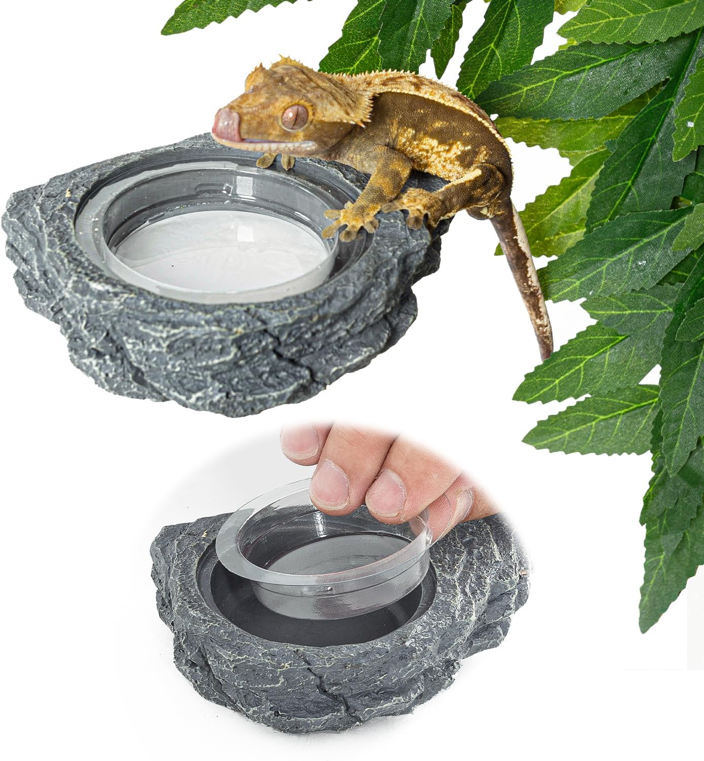 REPTIZOO 30PCS Feeding Cups for Reptile Magnetic Feeder Ledge, Replacement Cups for REPTIZOO Food Water Feeder Dish Gecko Feeding Ledge