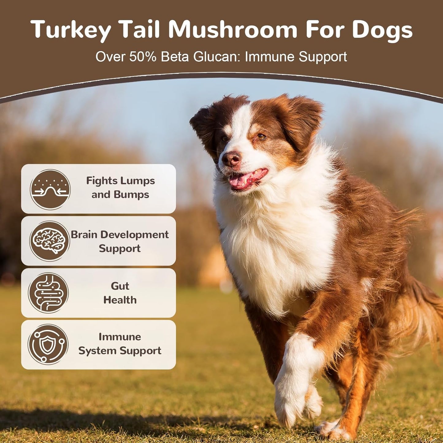 Turkey Tail Mushroom for Dogs, Organic 10 Mushroom Blend for Lumps and Bumps, Dog Herbal Supplements Probiotic with 50% β-Glucan, Joint Gut Immune Skin Support-60 Day Supply