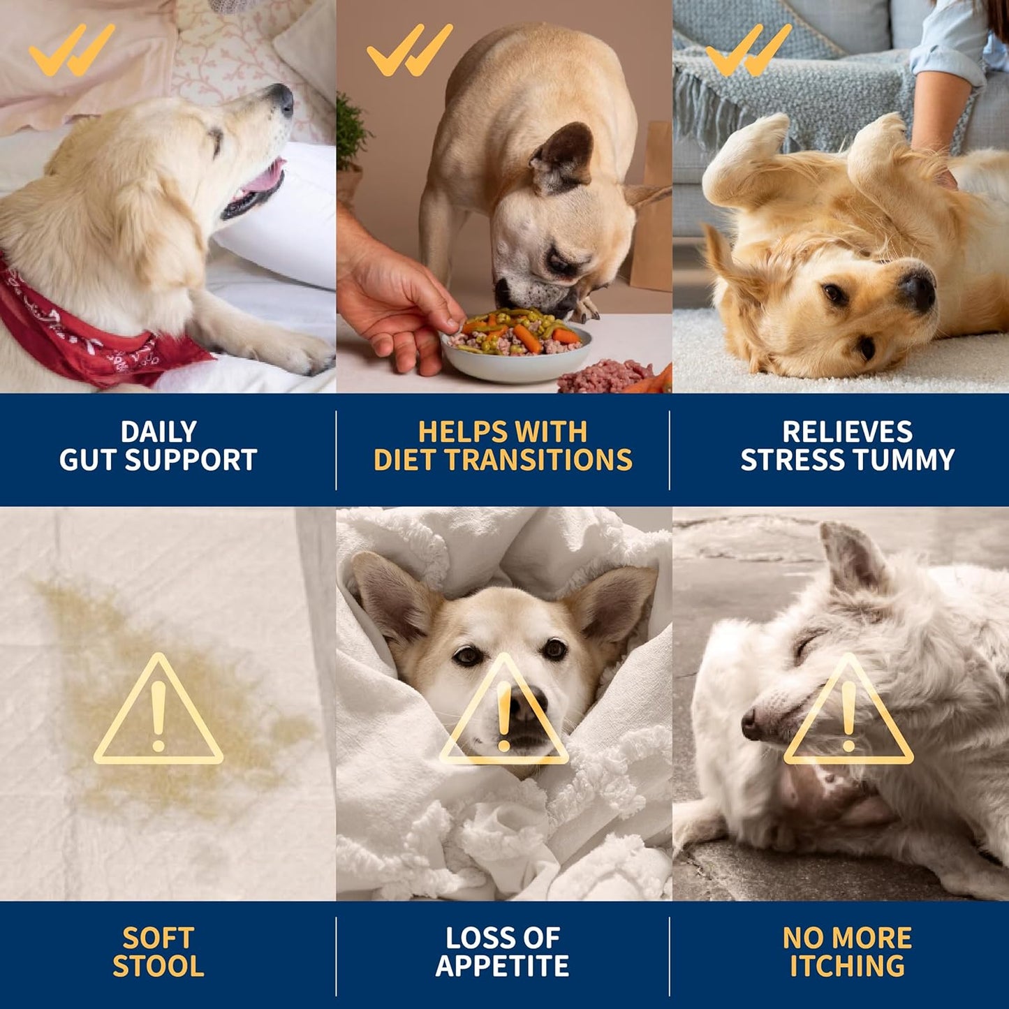 Dr. Kiwi O'dogcat Probiotics for Dogs | Support Gut Health, Diarrhea, Digestive Health & Seasonal Allergies