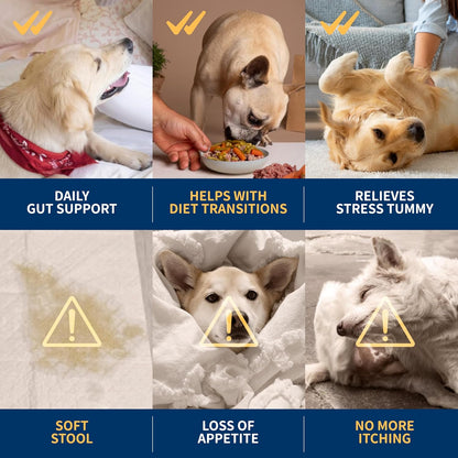 Dr. Kiwi O'dogcat Probiotics for Dogs | Support Gut Health, Diarrhea, Digestive Health & Seasonal Allergies