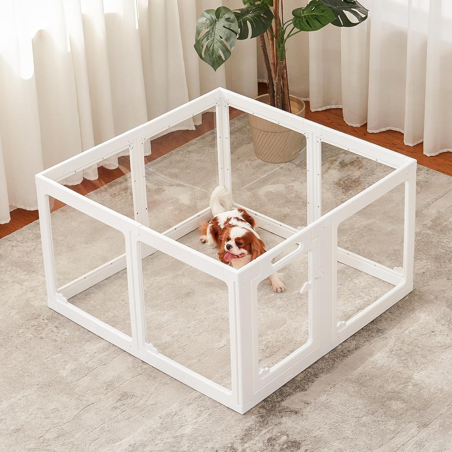 Acrylic Dog Playpen Indoor, Clear Dog Play Pen for Puppies and Small Dogs, Easy Assembly & Clean Puppy Pen (23.6", 8 Panels, White)