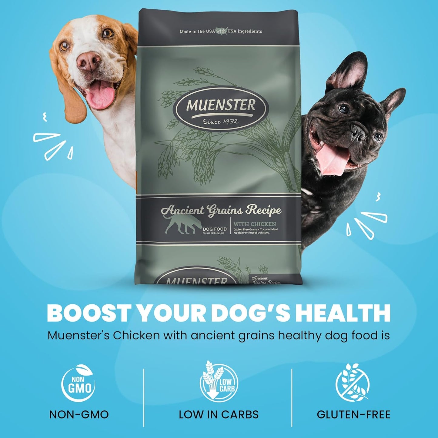 Muenster Adult Dry Dog Food, Small Breed, Large Breed - 22lb Bag Ancient Grain w/with Freeze-Dried Meatballs Chicken &