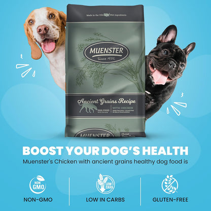Muenster Adult Dry Dog Food, Small Breed, Large Breed - 22lb Bag Ancient Grain w/with Freeze-Dried Meatballs Chicken &