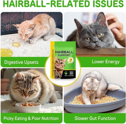 Cat Hairball Support Treats with Psyllium Husk & Omega-3, Chicken Flavor Soft & Crunchy Bites for Ingested Hair Elimination, Digestive & Skin Health, 3.7 oz (100g)