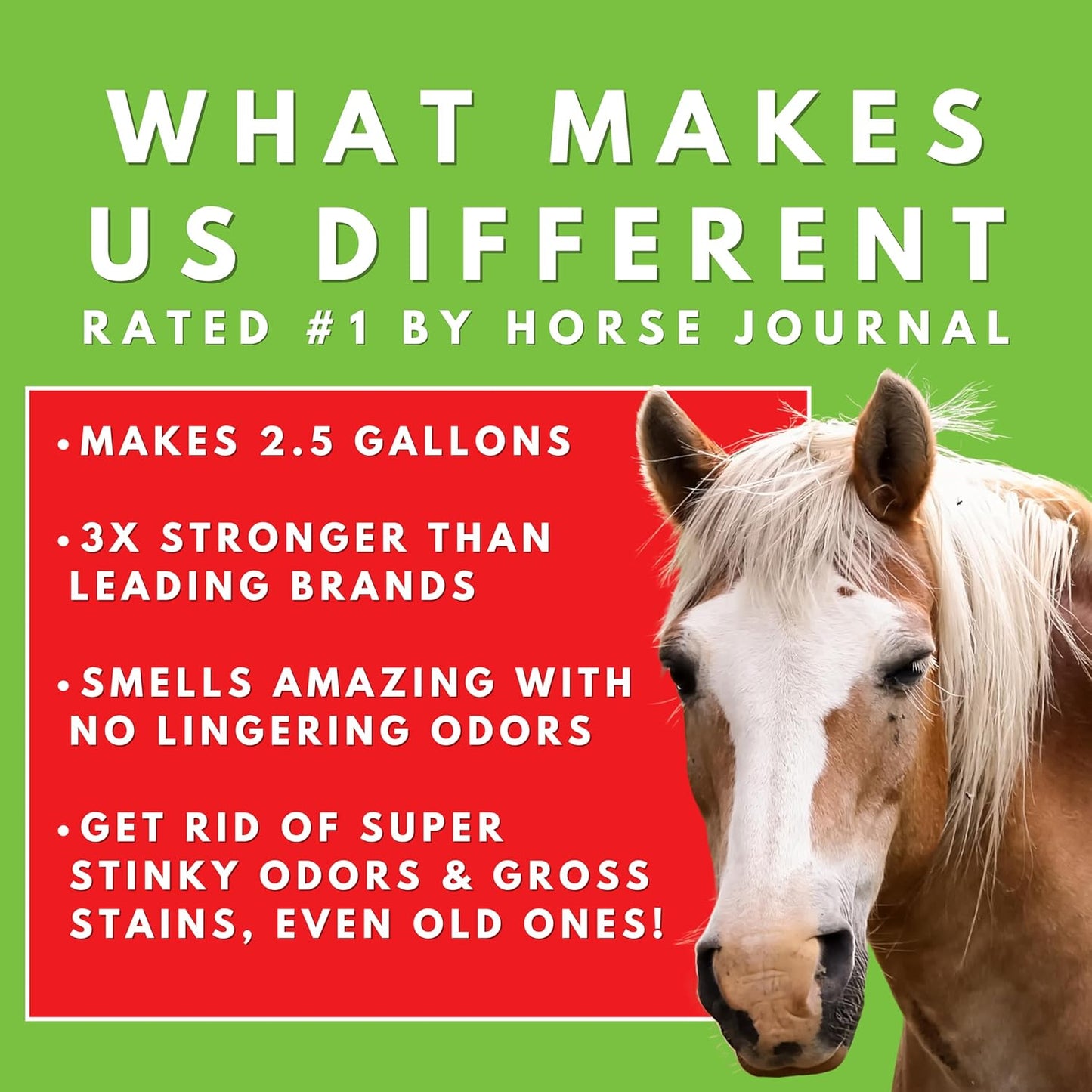 Show Out Odor Control & Urine Smell Remover - Eliminates Odors from Dog, Pet, Horse, Cat, Trailers, Carpet and Homes - Makes 2.5 Gallons of Spray. Pee Odor Destroyer, Eliminator & Enzyme Cleaner
