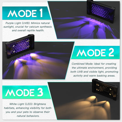 Dimmable LED Reptile UVB Lamp, 8000 Hours UVB Duration for Much Longer Lifespan, Adjustable 4/8/12-Hour Cycles, Suitable for Lizard and Chameleon, 12W, L Size