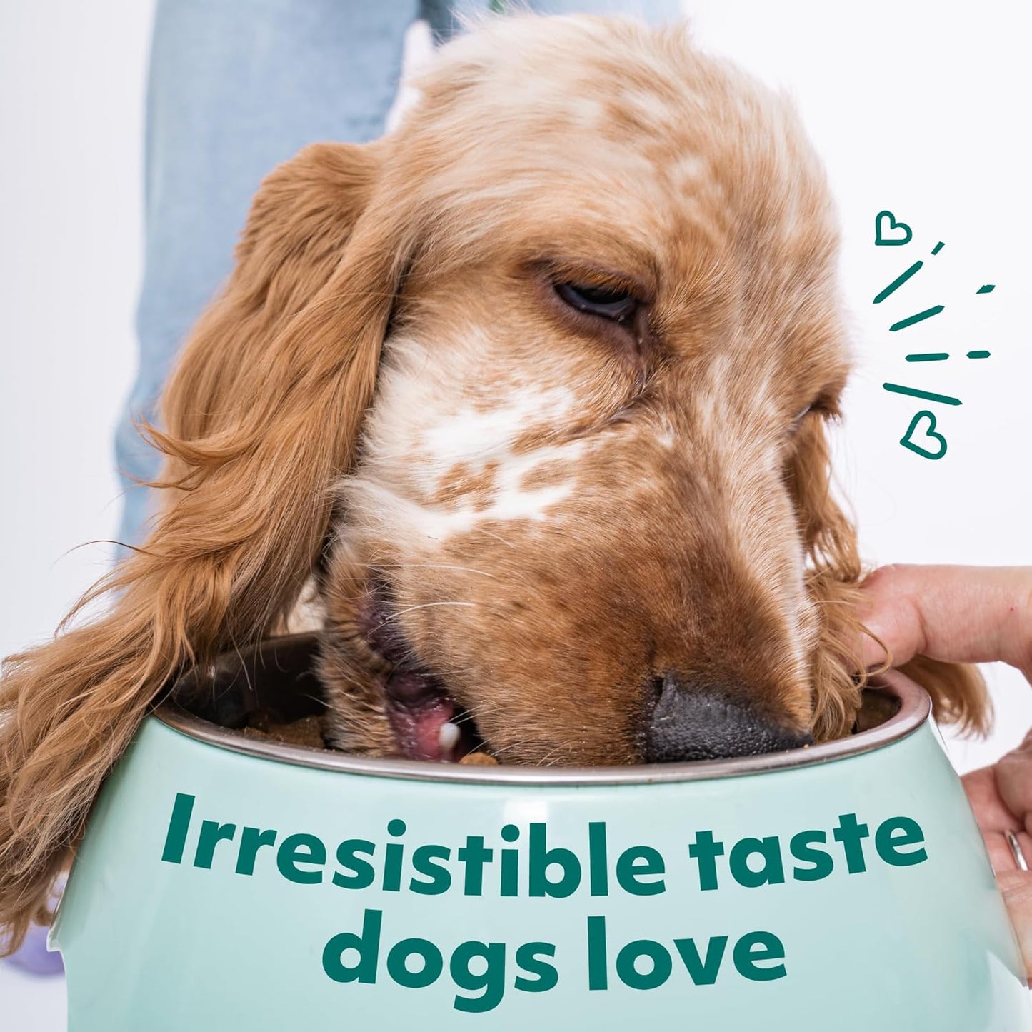 Optimeal Wet Dog Food Small Breed Variety Pack - Grain Free Recipe High Protein Tender Morsels in Aspic Made with Natural Ingredients for Adult Dogs, Premium Nutrition Pouches - 3oz Pouch (Pack of 12)