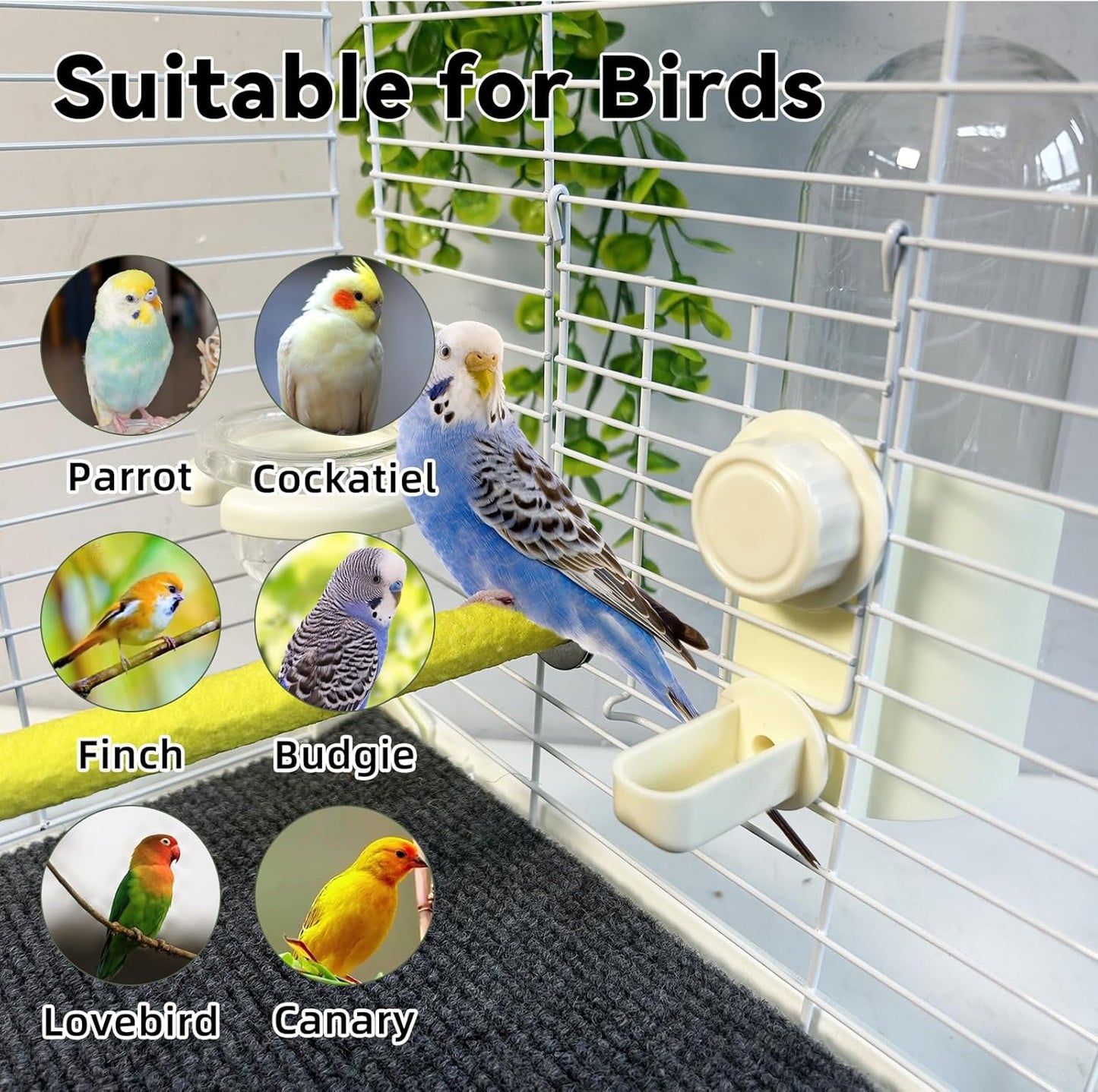 Parrot Water Feeder Bird Water Bottle Parrot Food Feeder with Perch Stand Bird Cage Accessories for Parakeet Budgie Lovebirds Cockatiel