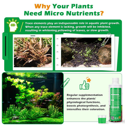 HC035 All-in-One Liquid Aquarium Plant Fertilizer - with Essential Micro & Macro Nutrients for Freshwater Planted Tanks, 150ml/500ml/1000ml (1000mL)