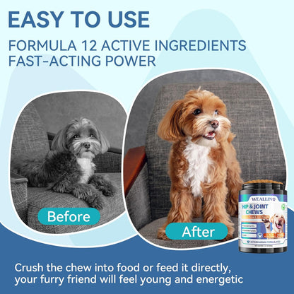 Dog Vitamins & Joint Supplement for Dogs