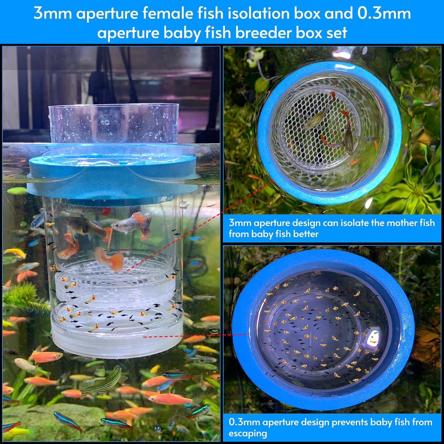 middlefloatingbreederbox Breeder Box for Fish Tank Isolation Aquarium Separator Hatchery Incubator for Guppy Baby Betta Saltwater Clownfish Coral Aggressive or Injured Fish (Middle Two-Piece Set)