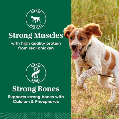 Nutro Natural Choice Small Breed Dog Food Dry, Chicken & Brown Rice Recipe, 5 lb. Bag