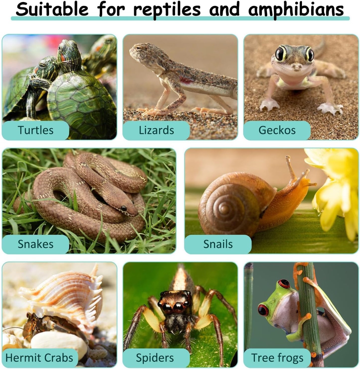 VCEPJH Loose Coconut Fiber Substrate 3 Pack Natural Coco Coir Reptile Bedding Tortoise Substrate Soil Habitat Accessories for Tarantula Snake Bearded Dragon Spiders Hermit Crabs