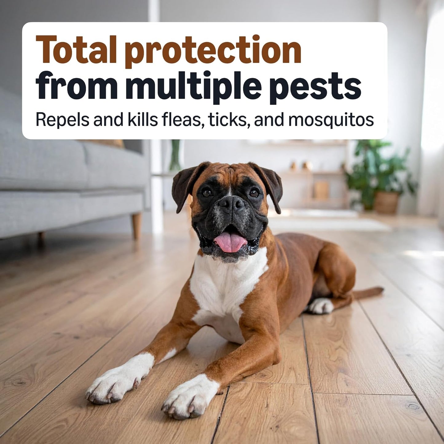 Amazon Basics PreventativeFlea, Tick & Mosquito Topical Treatment for Large Dogs (21-55 pounds), 6 Count, Packaging May Vary