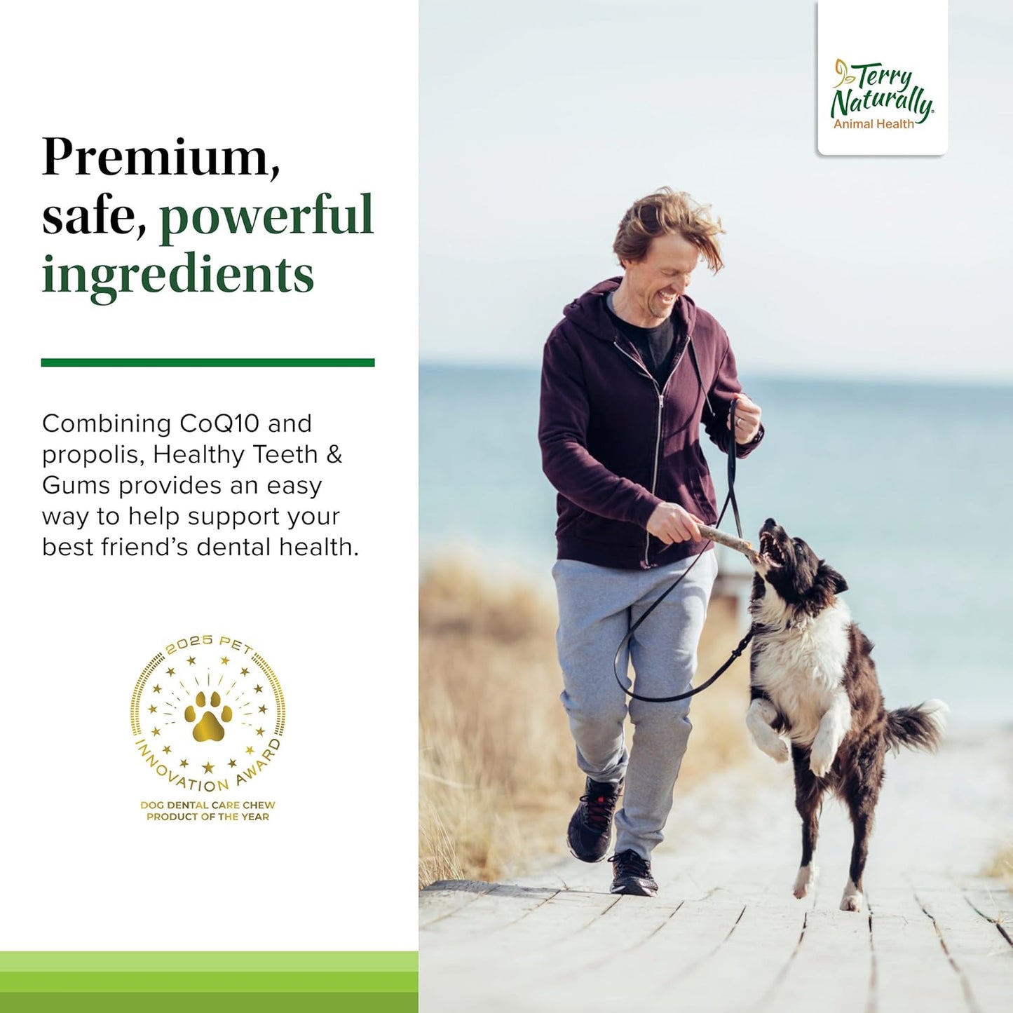 Terry Naturally Healthy Teeth & Gums - for Dogs- Supports Dental Health & Helps Freshen Breath - Supports Healthy Gums - 60 Tablets