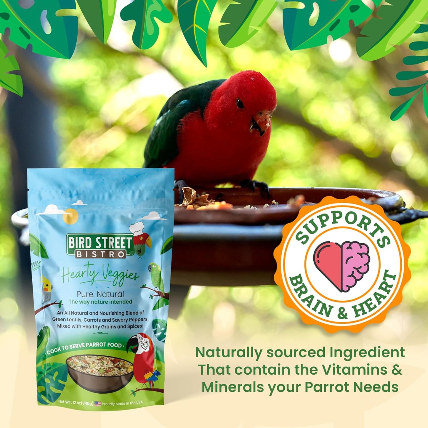 Bird Street Bistro Parrot Food - Parakeet & Cockatiel Food - Cooks in 3-15 min w/Natural & Organic Grains, Legumes, Non-GMO Fruits, Vegetables & Health-Oriented Spices