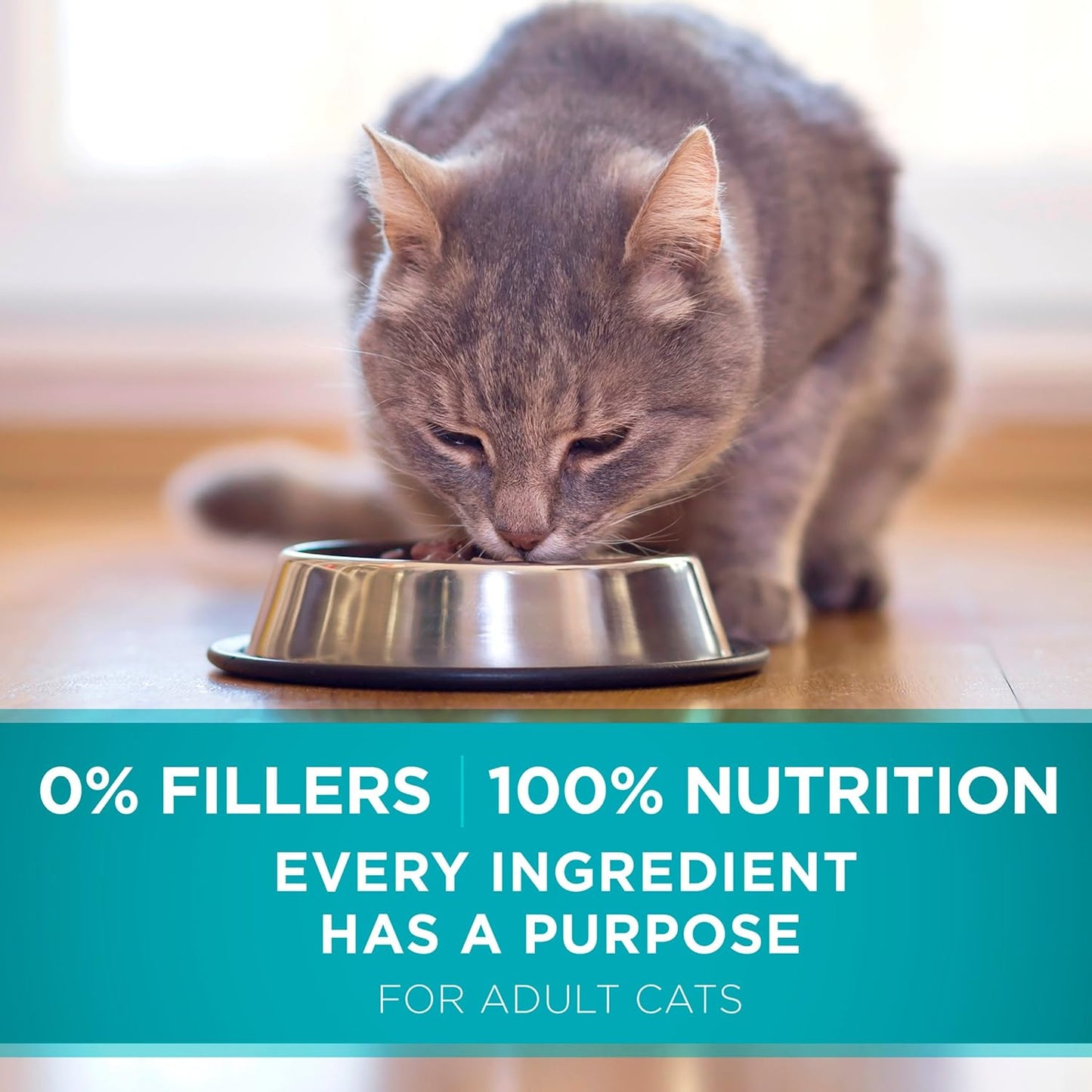 Purina ONE Natural Dry Cat Food, Tender Selects Blend With Real Salmon - 7 lb. Bag