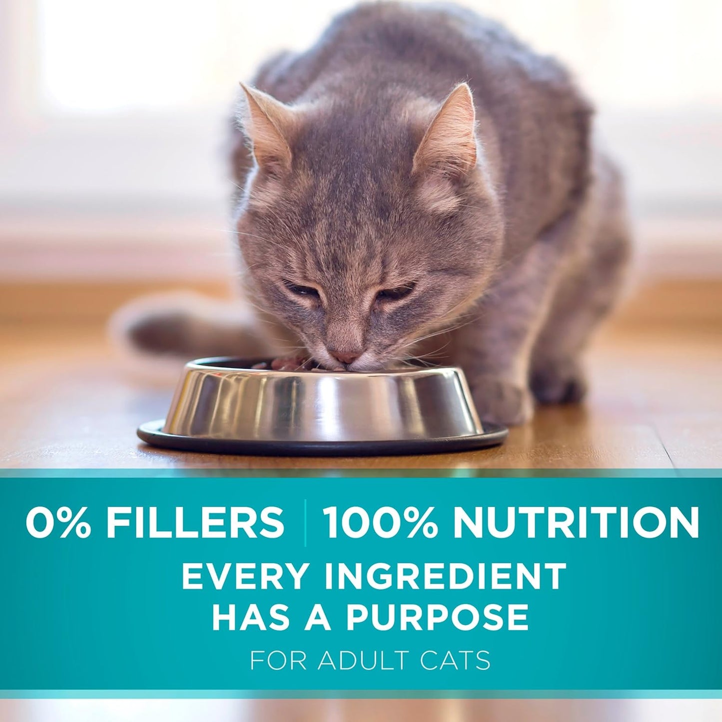 Purina ONE Natural Dry Cat Food, Tender Selects Blend With Real Chicken - 7 lb. Bag