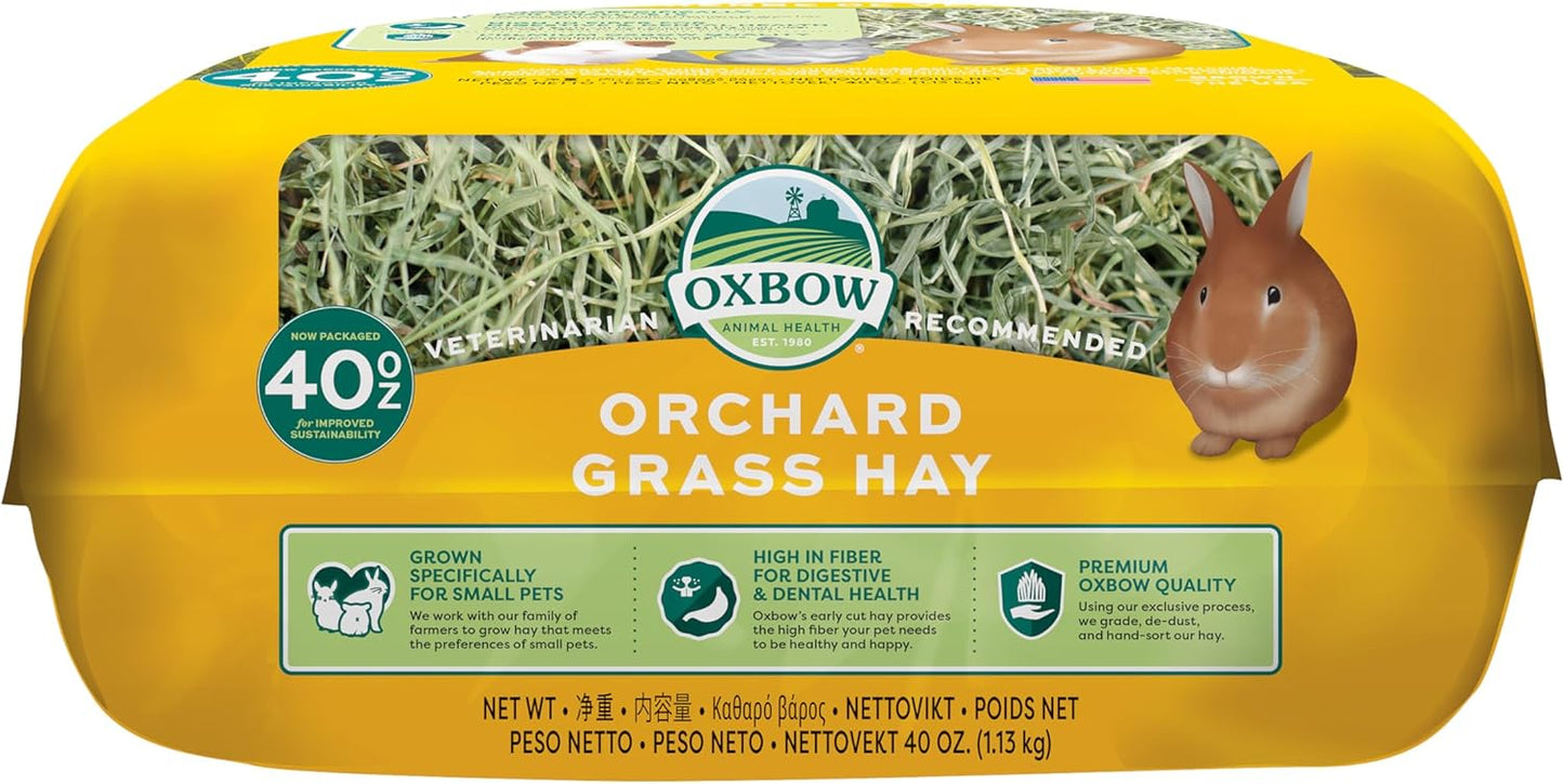 Oxbow Orchard Grass Hay for Small Pets – All-Natural Long Strand Fiber Hay for Rabbits, Guinea Pigs, Chinchillas, and Hamsters – Supports Digestive Health and Enrichment – 40 oz Bag