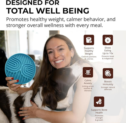 Slow Feeder Dog Bowls, Dishwasher Safe, Non-Slip Base, BPA-Free Slow Eating Dog Bowl (Blue, 1-Pack)