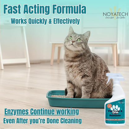 Pet Stain & Odor Remover – Fast-Acting Enzyme Cleaner for Dog & Cat Urine | Safe for Carpet, Couch, Turf, Tile & More | Non-Toxic, Kid & Pet Safe Spray