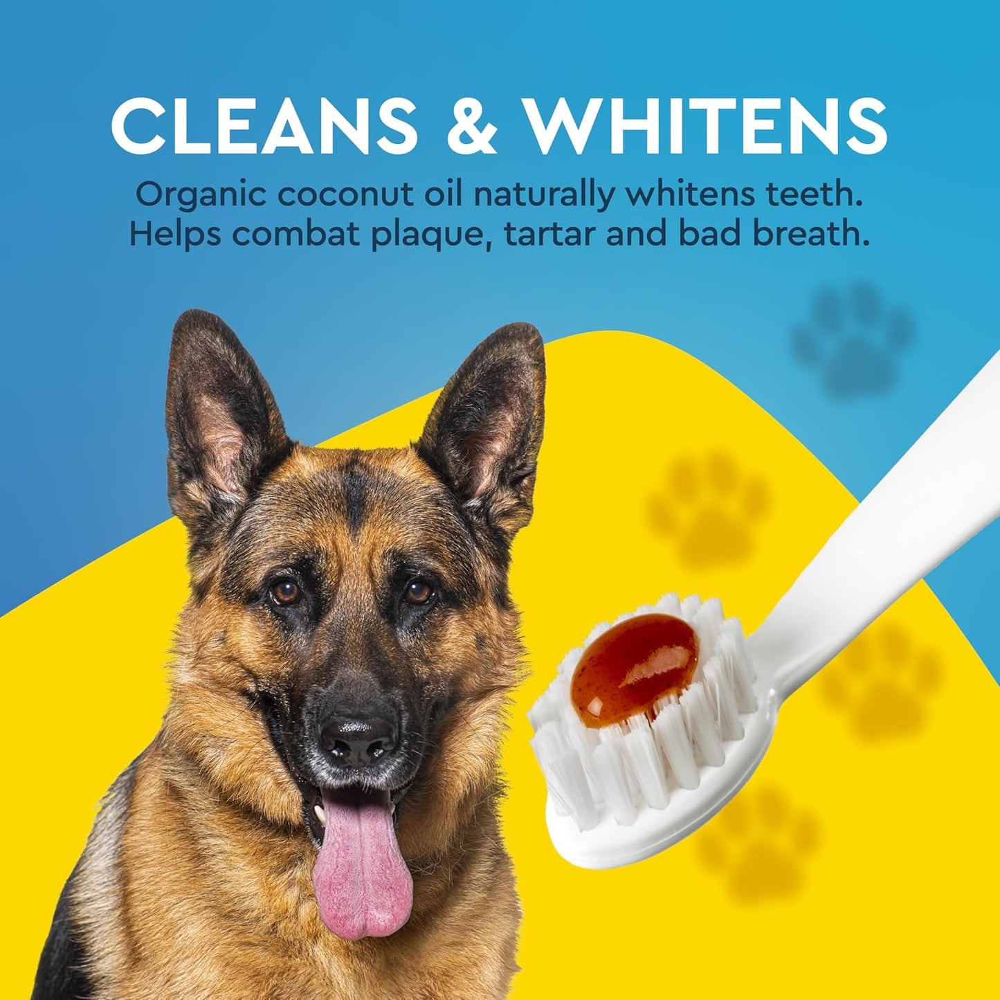 RADIUS Canine Pet Toothpaste, Cinnamon Sweet Potato, 3 oz, Non-Toxic Toothpaste for Dogs, Designed to Clean Teeth, Help Prevent Tartar, & Remove Plaque, Xylitol Free, Pack of 2