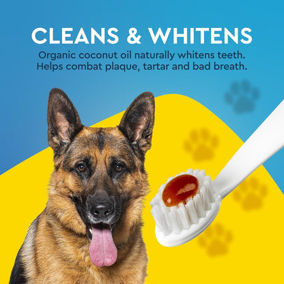 RADIUS Canine Pet Toothpaste, Cinnamon Sweet Potato, 3 oz, Non-Toxic Toothpaste for Dogs, Designed to Clean Teeth, Help Prevent Tartar, & Remove Plaque, Xylitol Free, Pack of 2