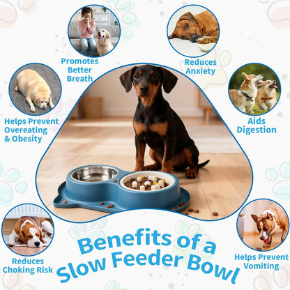 Slow Feeder Dog Food Bowls:Non-Spill/Skid/Ant Prevention Stainless Steel Food & Water Dish Set for S/M/L Size Dogs, Cats, Puppy Pets to Slow Down Feeding (Blue)