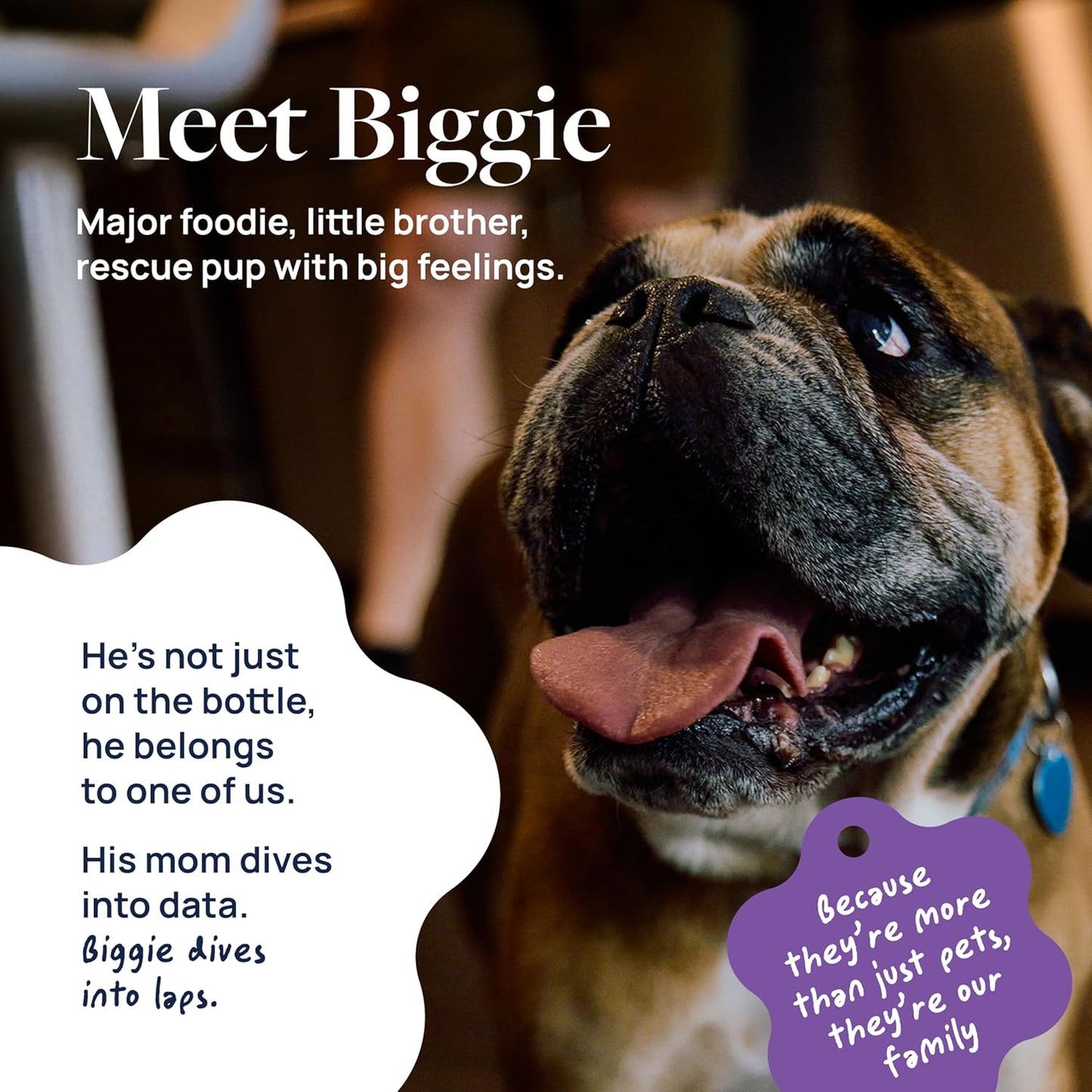 Veterinary Formula Pet Calm 60ct – Vet-Formulated Calming Chews for Dogs with L-Theanine, L-Tryptophan for Behavior Support, Relaxation Treats, Puppy Chews for Stressful Situations, Dog Calming Aid