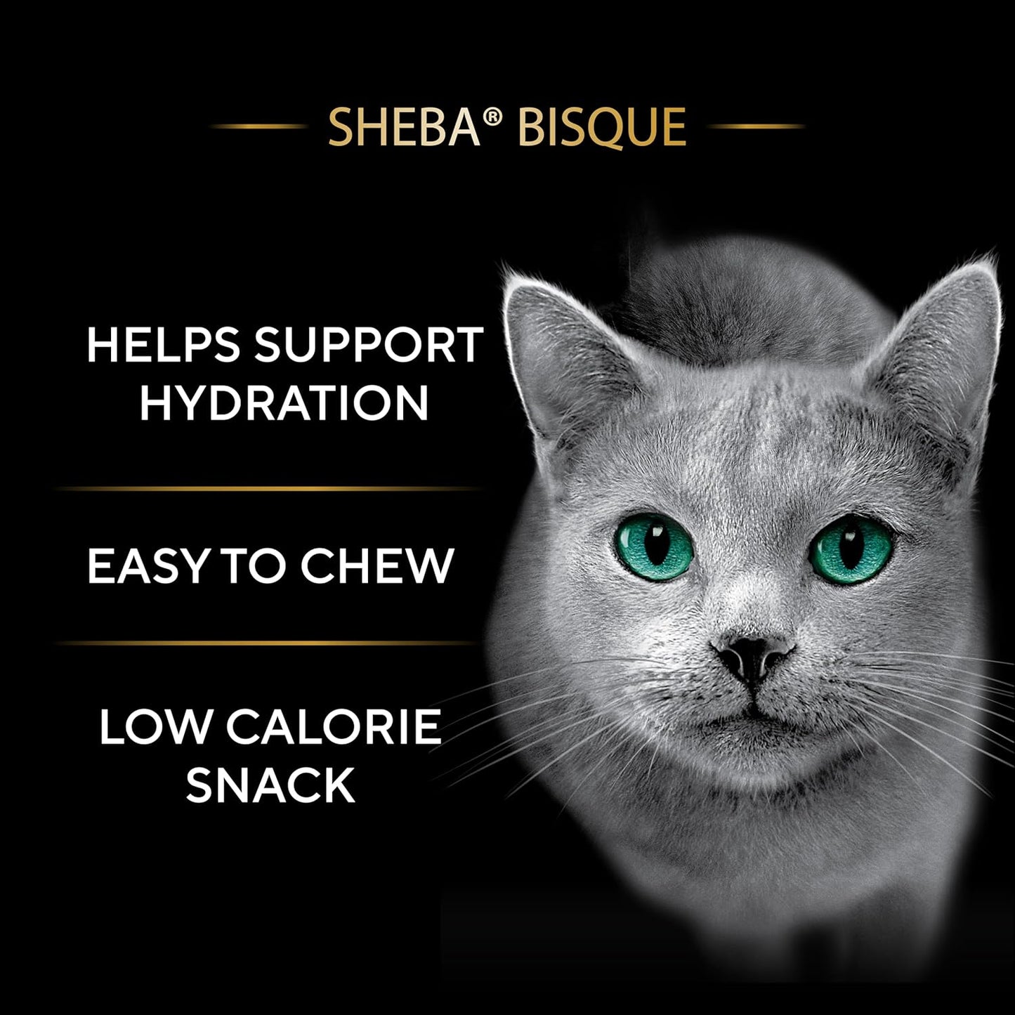 Sheba Bisque Lickable Cat Treats & Cat Food Toppers Chicken Recipe, 1.4 oz. Bowls, 14 Count