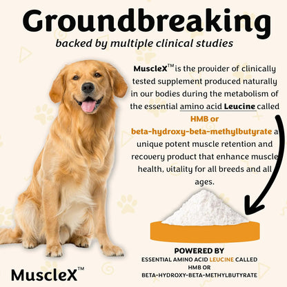 MuscleX™ Canine Muscle Formula Cats & Small Dogs with 300mg CaHMB & Vitamin D3 - Natural Muscl Building Formula-Helps Reduce Muscle Loss Due to Normal Aging & Improves Recovery from Injury(270 Caps)