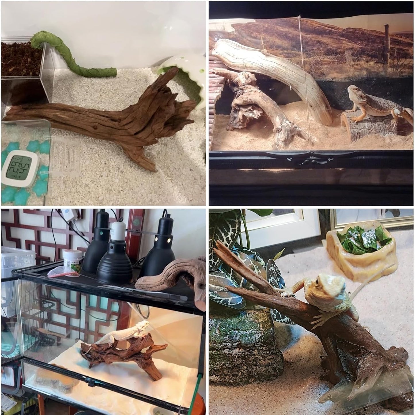 Hamiledyi Reptile Driftwood Branch Decor Terrarium Ornament Wood Climbing Natural Aquarium Driftwood Decoration for Snake Bearded Dragon Leapord Gecko Lizard Iguana