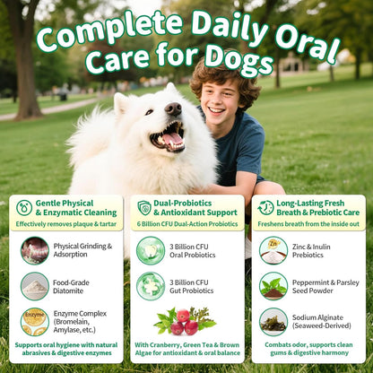 Dog Dental Powder – Teeth Cleaning Powder with 6B CFU Probiotics, Enzymes & Antioxidants, Plaque & Tartar Off, Fresh Breath Support, No Brushing Oral Care, Mint Beef Flavor, 75 Servings