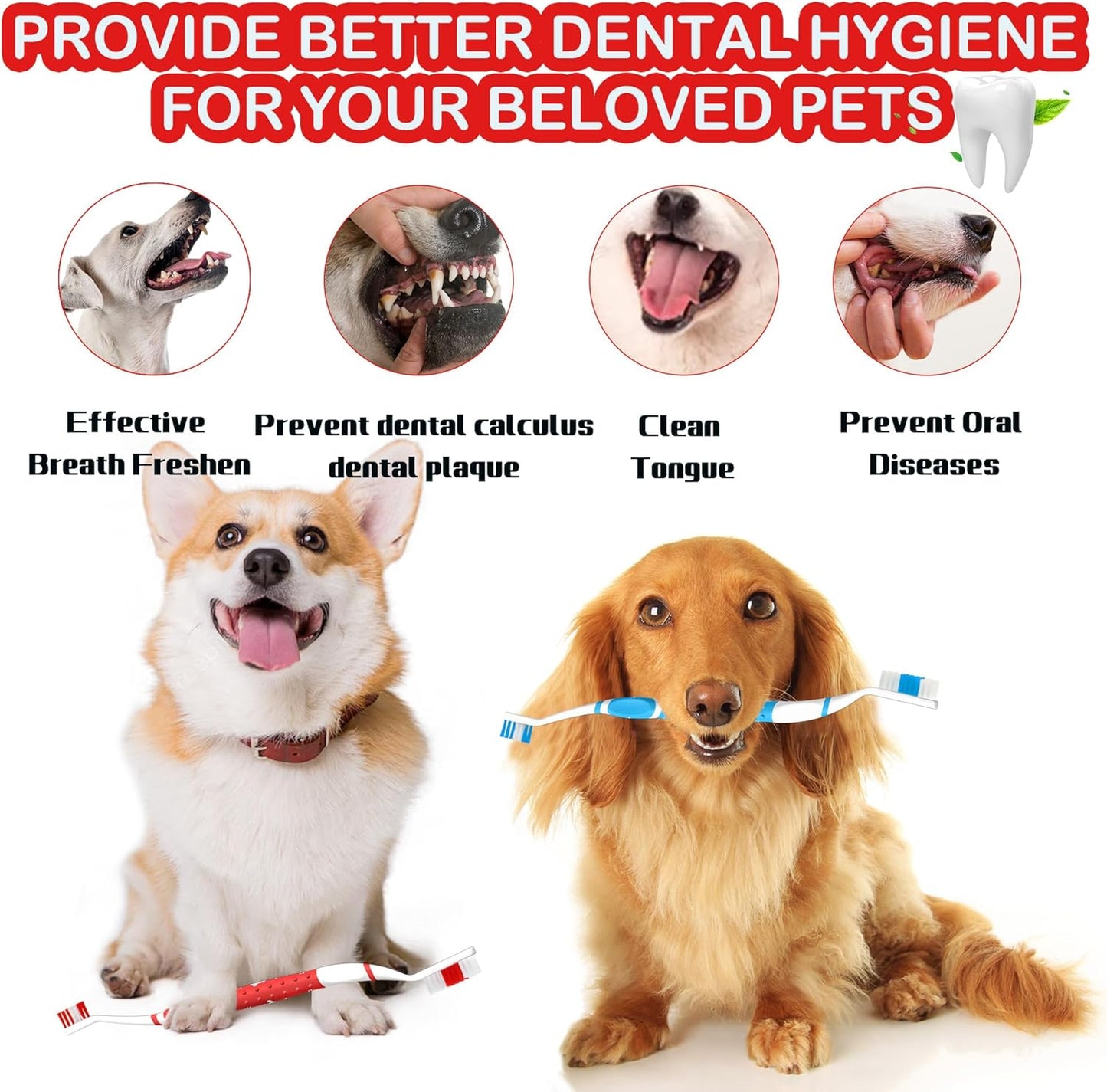Dog Toothbrush pet Toothbrushes Finger Toothbrush Small to Large Dogs with Soft Bristles Non Slip Dual Head (8 pcs Dual Head + 4 pcs Finger Tooth Brush)