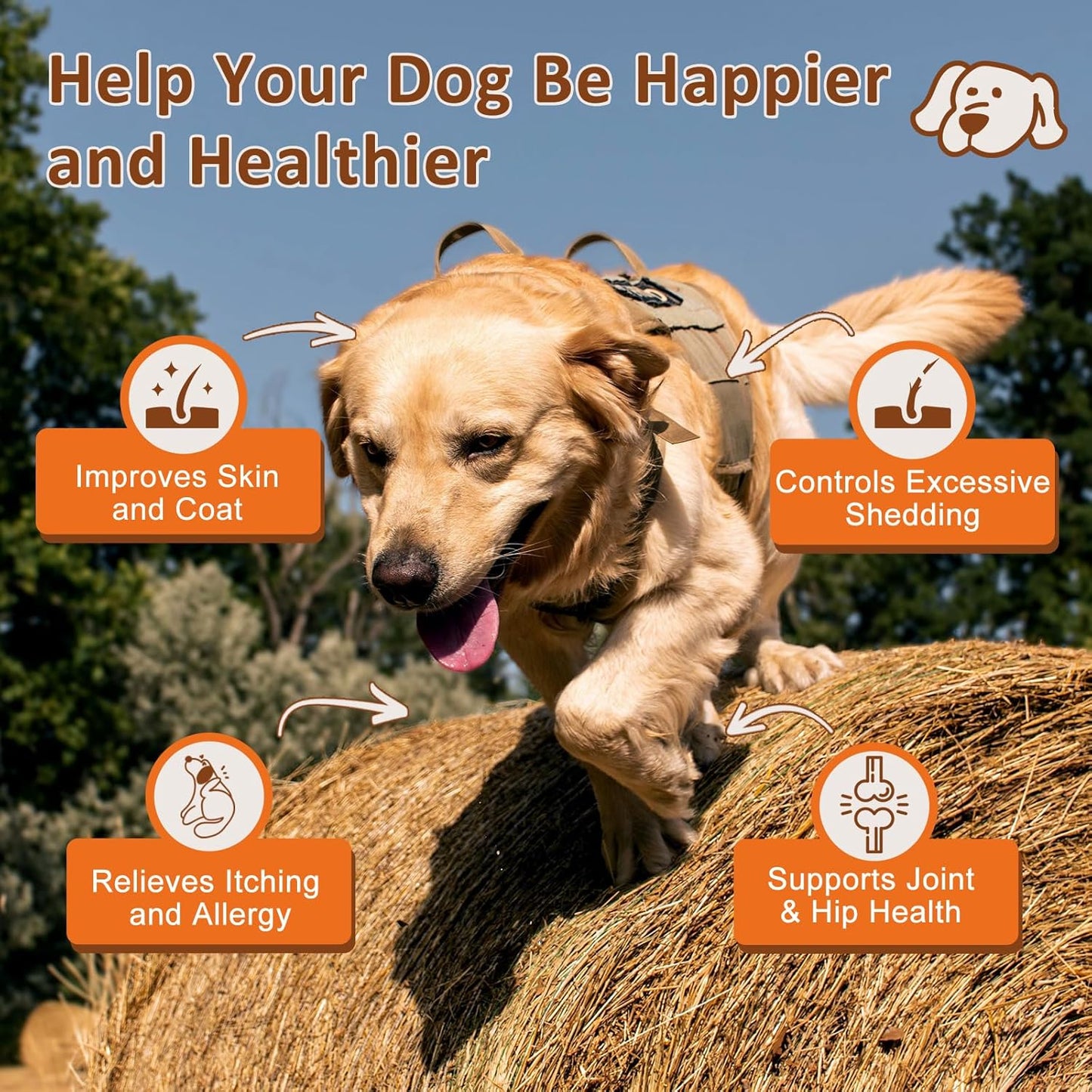 Dog Vitamins Powder, Probiotics & Digestive Enzymes for Gut Health, Salmon Oil Skin and Coat Supplement for Dogs Itchy Skin Relief