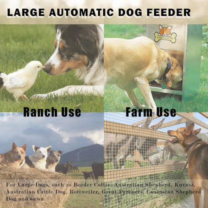 Outdoor Dog Feeder - Holds 40 lbs Food and 500 ml Water - Galvanized Steel Plate for Rain and Sun Protection - Latest Style Auto Large Dog Feeder - Big Dogs can Easily Eat