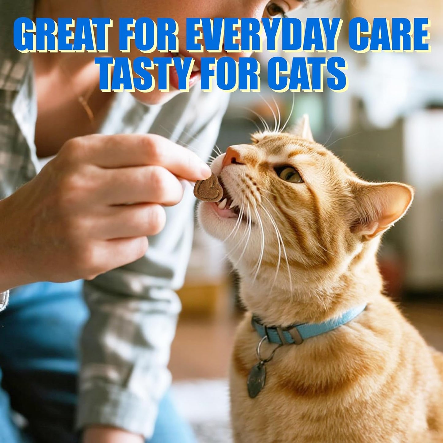 Just Try 300 Bites 6.35 oz Urinary Tract Bites for Cats - Cranberry & D Mannose Formula for Bladder Health - Prevent UTI & Promote Urinary Comfort - Grain Free, Natural Ingredients Cat Supplements