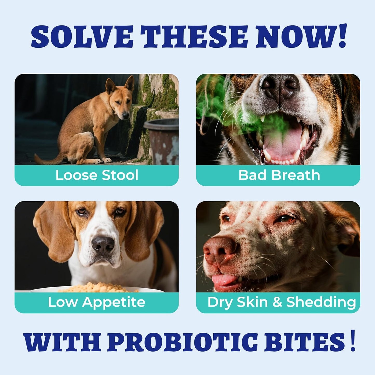 260 Bites Wellix Probiotics for Dogs - Dog Probiotics and Prebiotics with Pumkin - Improve Digestive Health, Allergies and Itchy Skin Relief Natural Gut Health Supplements for Small Medium Senior Dog