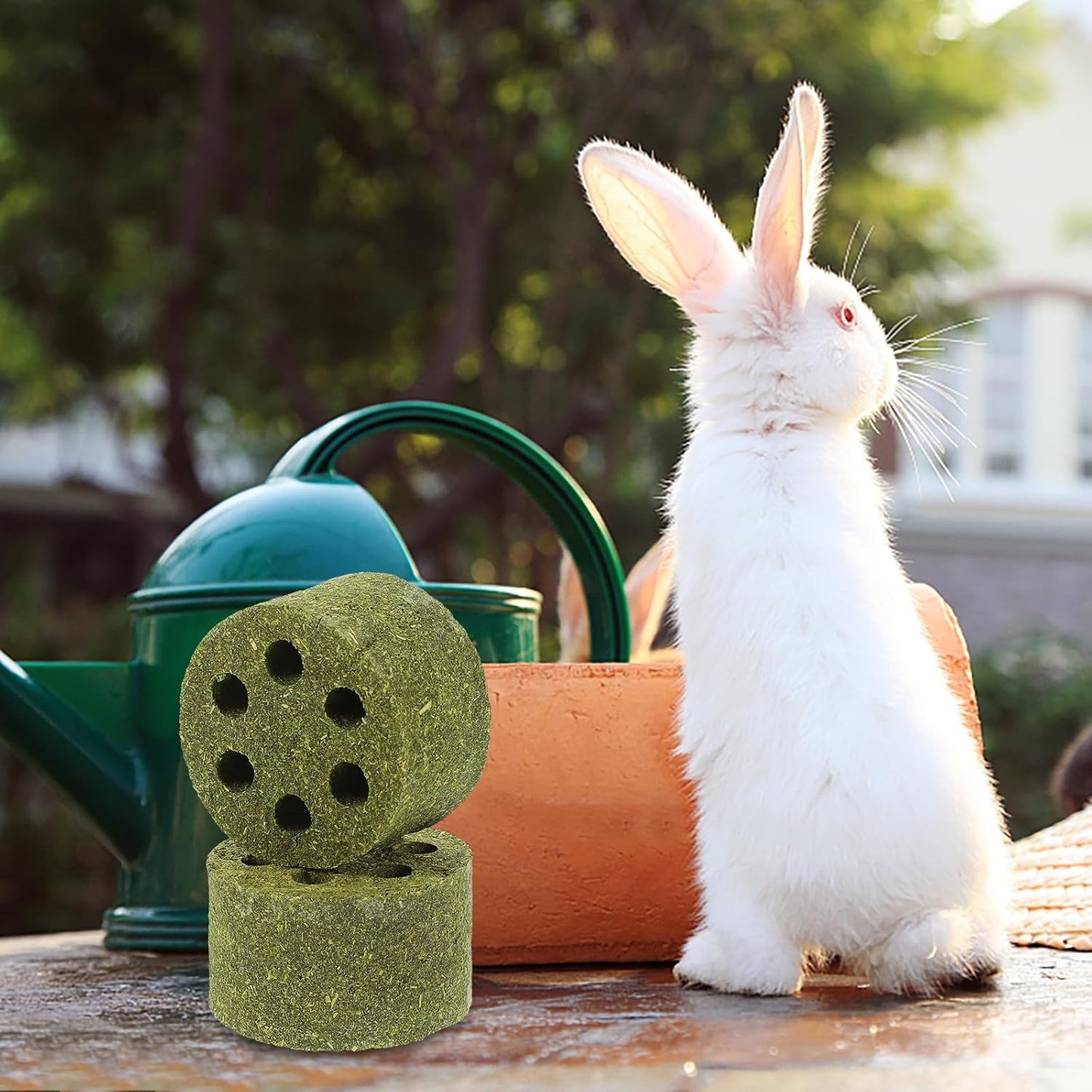 ERINGOGO Organic Grass Rabbit Chew 2Pcs Small Natural Pet Teething Playthings for Hamsters Bunnies Small Animals