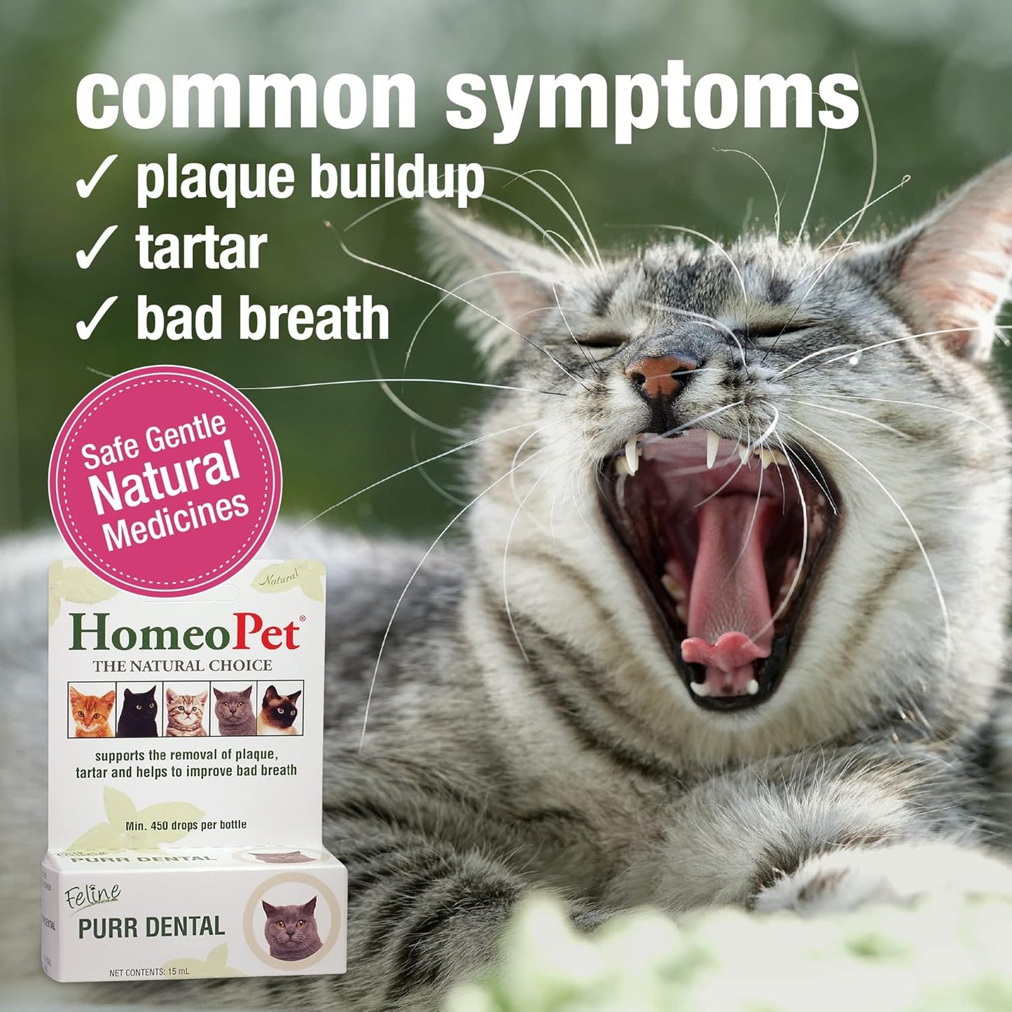 HomeoPet Feline Purr Dental, Safe and Natural Tooth and Dental Care for Cats, 15 Milliliters