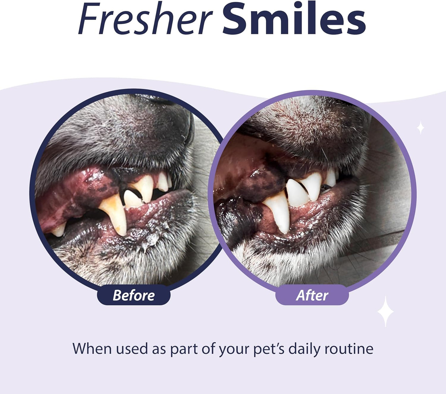 Dental Fresh Enzymatic Gel for Dogs, Dog Toothpaste – Dog Essentials for Dog Teeth Cleaning