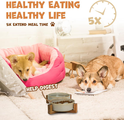 Ceramic Slow Feeder Dog Bowl Set with Stand, Cute Paw Slow Feeding Food Bowl and Water Bowl for Small Breed, 5.2" Ceramic Non Slip Dog Dishes, Grey