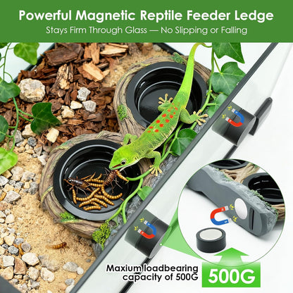 MIXJOY Magnetic Crested Gecko Feeding Ledge with 4PCS Feeding Cups, Reptile Feeder Ledge with Double Bowls Design, Hollow Vine Look, Reptile Food Water Dish for Bearded Dragon Lizard Chameleon Snake