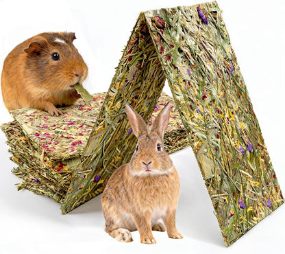 Abizoo Rabbit & Guinea Pig Treats 8 Pack Timothy Hay Bunny Chew Toys with Herbal Flowers Timothy Hay Forage Mix for Rabbits Guinea Pig Chinchillas Hamster Gerbils Rats Small Animals Teeth Care(Large)