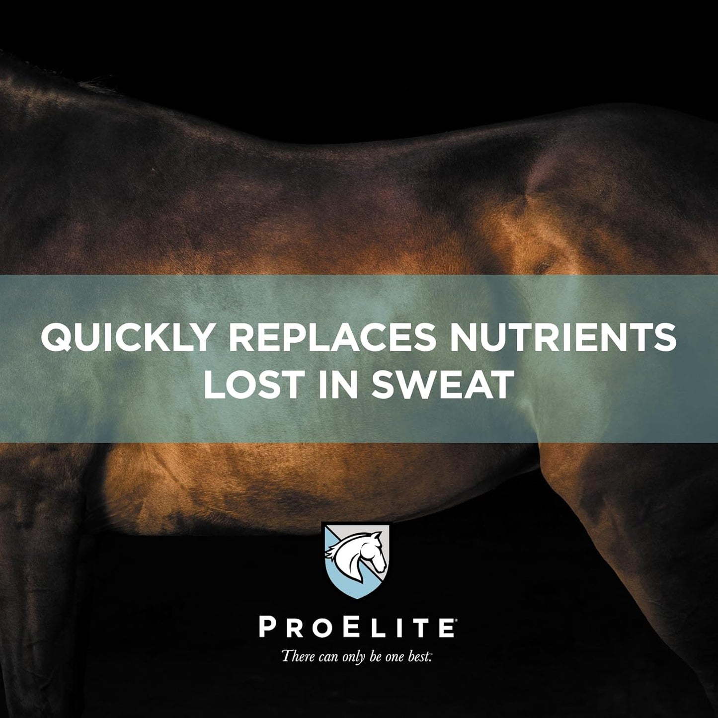 ProElite Aqua Aide, Electrolyte Horse Supplement, 15 lbs