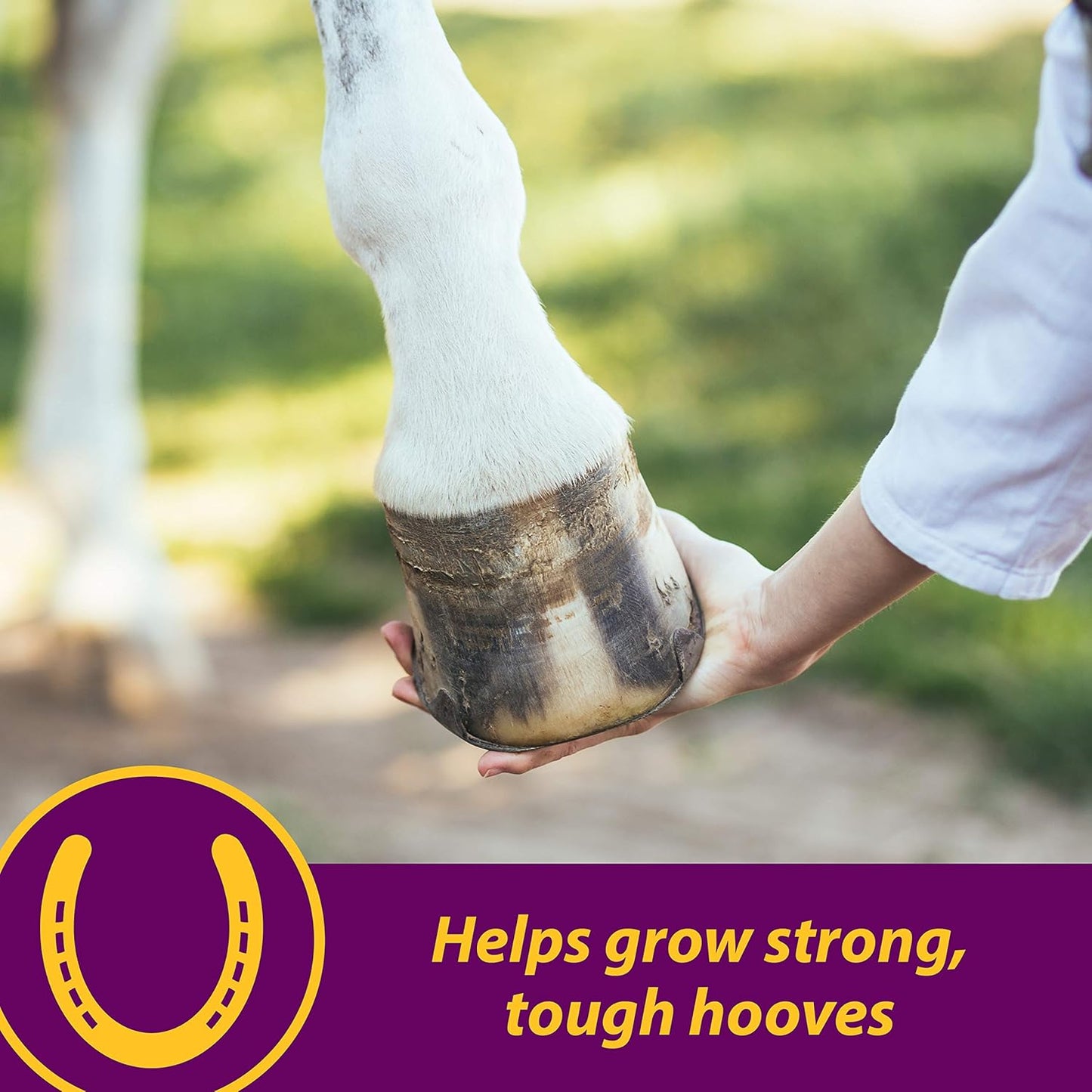 Horse Health Shur Hoof Hoof Supplement for Horses, Helps Grow Strong, Tough Hooves, 2.5 Pound, 40 Day Supply